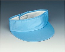 Visors