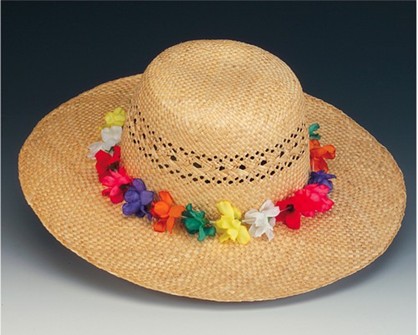 Flowers Band Straw Hat