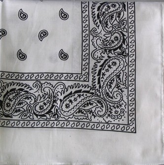 White Paisley Bandana Bulk|Seagull International