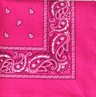 Bulk Fuchsia Paisley Cotton Bandana|Seagull International