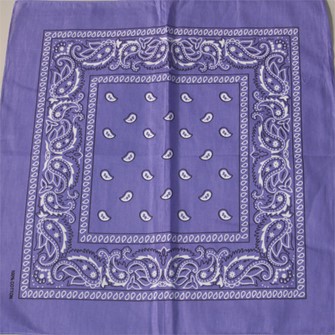 Orchid Paisley Bandana Bulk|Seagull International, Inc.