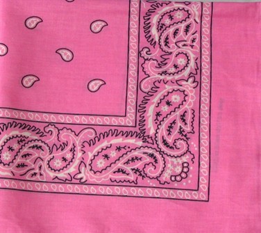 Pink Paisley Bandana Bulk|Seagull International