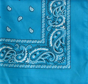 Turquoise Paisley Wholesale Bandana|Seagull International