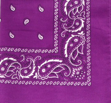 Purple Paisley Bandanas Wholesale|seagullintl.com