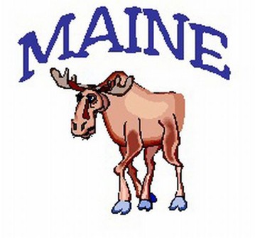 MAINEMOOSE/CHINCOTEAGUE