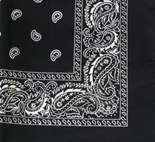 Black Paisley Bandana