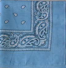 Light Blue Paisley Bandanas