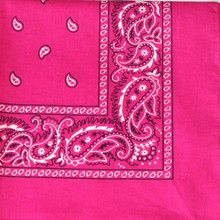 Fuchsia Paisley Bandana