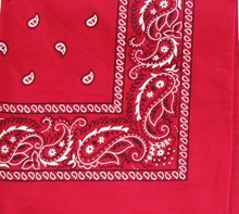 Maroon Paisley Bandana