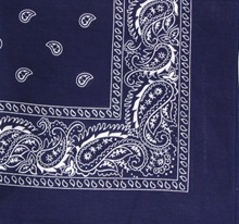 Navy Paisley Bandana