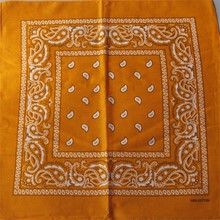 Orange Paisley Bandana