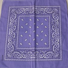 Orchid Paisley Bandana