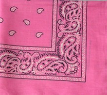 Pink Paisley Bandana