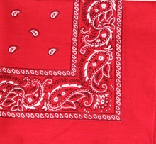 Red Paisley Bandanna