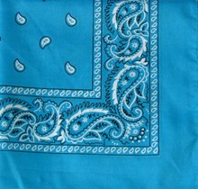 Turquoise Paisley Bandana