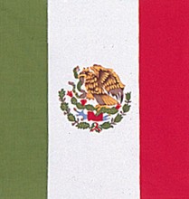 Mexico Flag Bandana