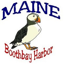 PUFFIN BIRD-MAINE