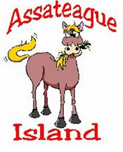 HORSE EATING/ ASSATEAGUE ISLAND