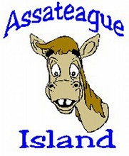 HORSE'S HEAD/ ASSATEAGUE ISLAND