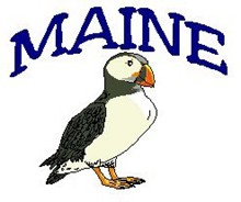 PUFFIN BIRD-MAINE