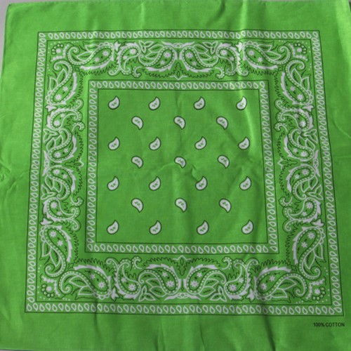 Light Green Paisley Cotton Bandanas WholesaleSeagull Intl